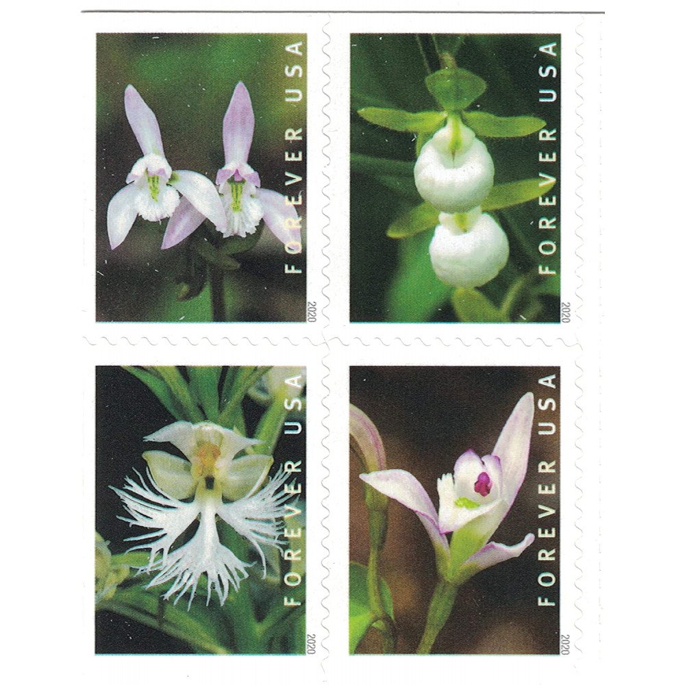 (2020) USPS Wild Orchids Forever Postage Stamps