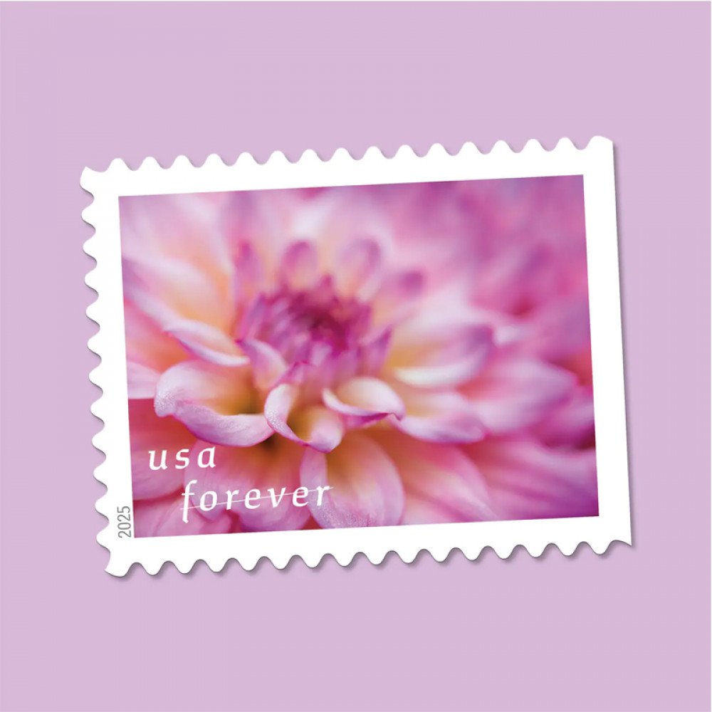 2025 Dahlias Stamps Book of 20