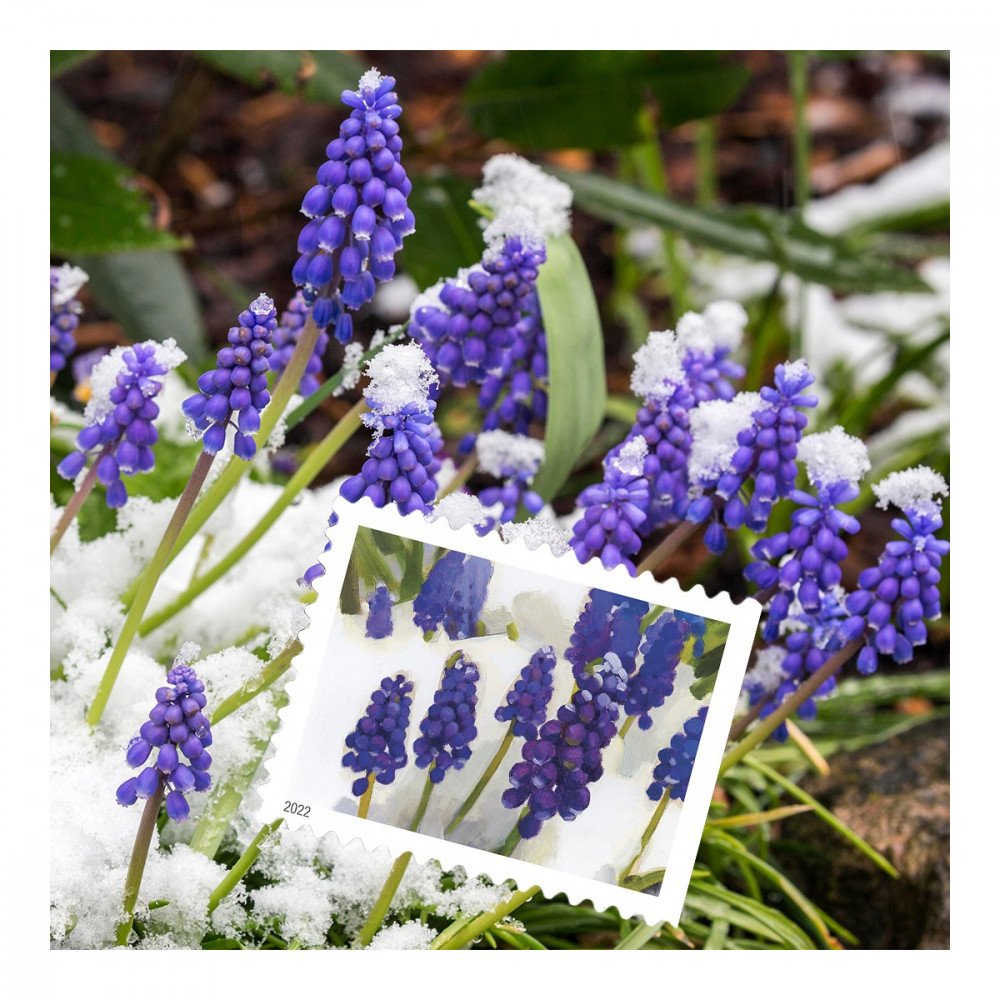 2022 USPS Snowy Garden Beauty Forever Postage Stamps