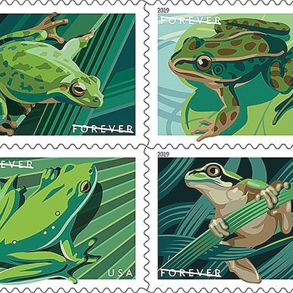 (2019) USPS Frogs Forever First Class Postage Stamps